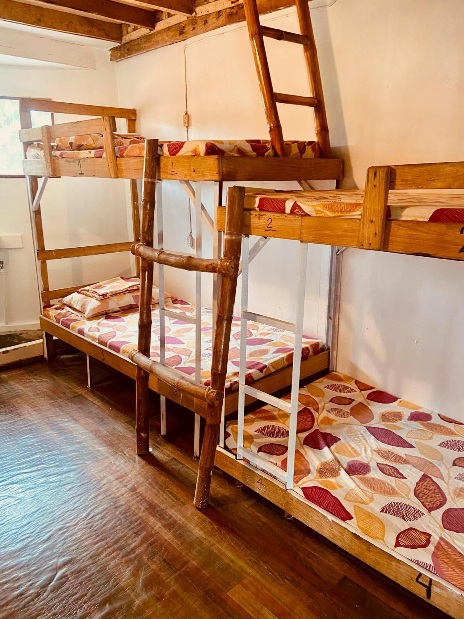 מואלבואל Babu Backpackers Inn מראה חיצוני תמונה